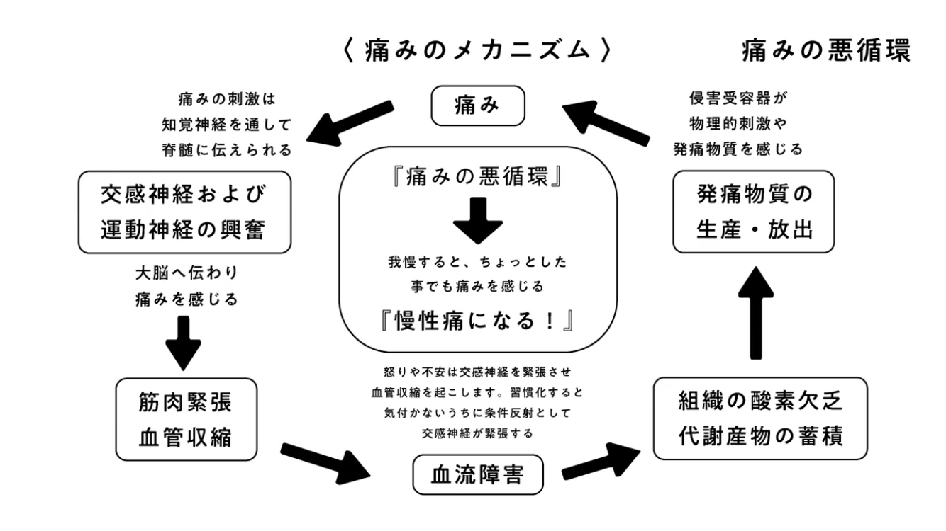痛みのメカニズム
