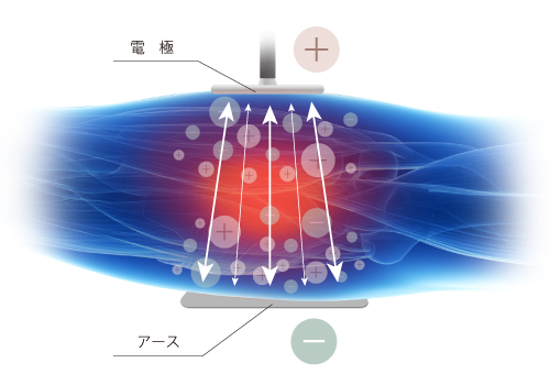 肩・首について